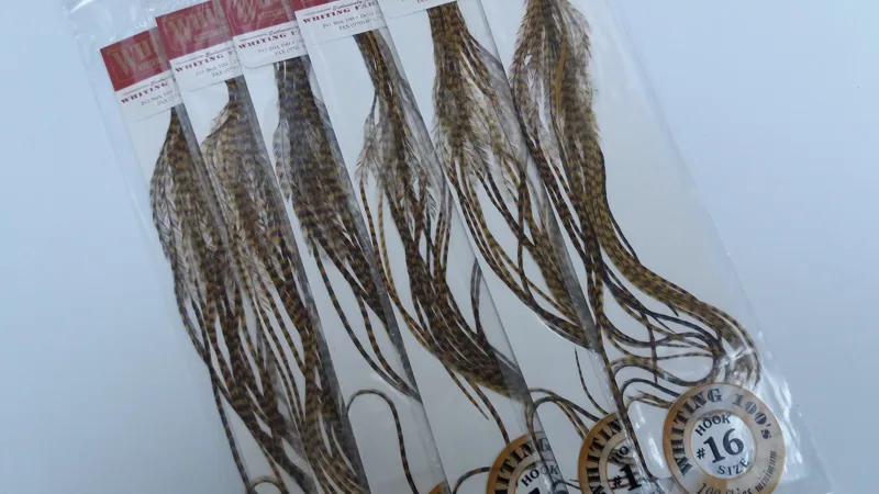 Whiting 100 Saddle Hackle Pack in Grizzly Golden Olive-2